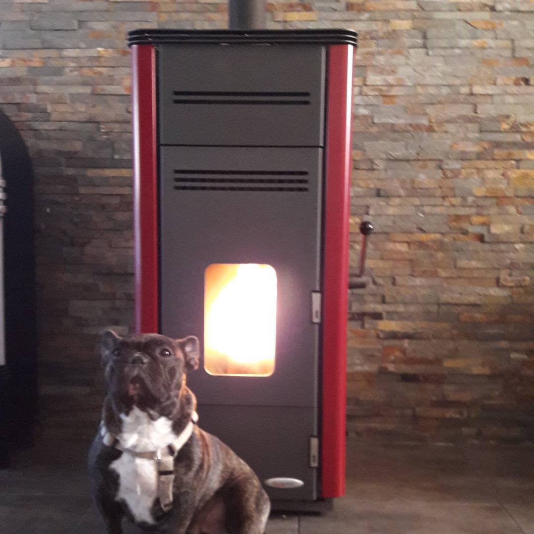 LAMINOX FIORELLO-PLUS（ラミノックス　フィオレッロ-プラス）無電源ペレットストーブ(薪兼用）　9.0KW　イタリア製